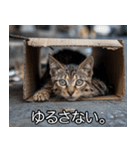 メンヘラ子猫【猫・ねこ・カップル】（個別スタンプ：11）