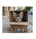 メンヘラ子猫【猫・ねこ・カップル】（個別スタンプ：15）