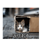 メンヘラ子猫【猫・ねこ・カップル】（個別スタンプ：16）
