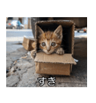 メンヘラ子猫【猫・ねこ・カップル】（個別スタンプ：19）