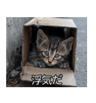 メンヘラ子猫【猫・ねこ・カップル】（個別スタンプ：20）