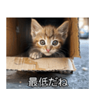 メンヘラ子猫【猫・ねこ・カップル】（個別スタンプ：23）