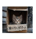 メンヘラ子猫【猫・ねこ・カップル】（個別スタンプ：26）