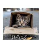メンヘラ子猫【猫・ねこ・カップル】（個別スタンプ：27）