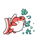 水槽の金魚たち（個別スタンプ：3）