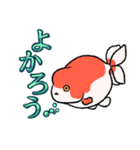 水槽の金魚たち（個別スタンプ：5）