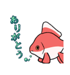 水槽の金魚たち（個別スタンプ：16）