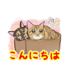 春と桜とねこにゃんず（個別スタンプ：15）