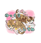 春と桜とねこにゃんず（個別スタンプ：31）