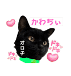 黒猫 オロチ スタンプ（個別スタンプ：1）