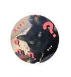 黒猫 オロチ スタンプ（個別スタンプ：3）