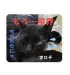 黒猫 オロチ スタンプ（個別スタンプ：4）