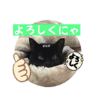 黒猫 オロチ スタンプ（個別スタンプ：7）