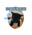 黒猫 オロチ スタンプ（個別スタンプ：9）