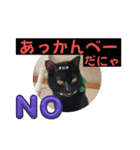 黒猫 オロチ スタンプ（個別スタンプ：13）