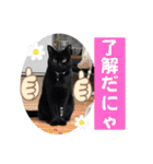 黒猫 オロチ スタンプ（個別スタンプ：17）