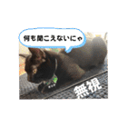黒猫 オロチ スタンプ（個別スタンプ：18）