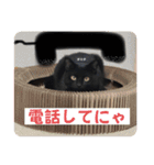 黒猫 オロチ スタンプ（個別スタンプ：20）