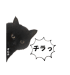 黒猫 オロチ スタンプ（個別スタンプ：21）