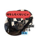 黒猫 オロチ スタンプ（個別スタンプ：23）
