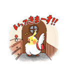 日常で使えるオカメインコスタンプ2（個別スタンプ：5）