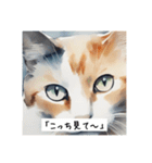 水彩画の猫たち（個別スタンプ：1）