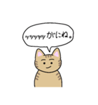 うさぎとねこのスタンプvol.1（個別スタンプ：23）