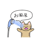 うさぎとねこのスタンプvol.1（個別スタンプ：24）