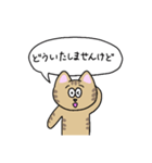 うさぎとねこのスタンプvol.1（個別スタンプ：36）