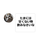 おかん瑪瑙さん（個別スタンプ：1）