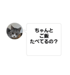 おかん瑪瑙さん（個別スタンプ：2）