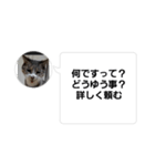 おかん瑪瑙さん（個別スタンプ：3）
