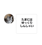 おかん瑪瑙さん（個別スタンプ：4）