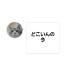 おかん瑪瑙さん（個別スタンプ：5）