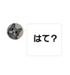 おかん瑪瑙さん（個別スタンプ：7）