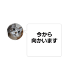 おかん瑪瑙さん（個別スタンプ：8）