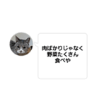 おかん瑪瑙さん（個別スタンプ：9）