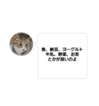 おかん瑪瑙さん（個別スタンプ：10）