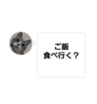 おかん瑪瑙さん（個別スタンプ：11）
