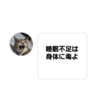 おかん瑪瑙さん（個別スタンプ：12）