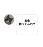 おかん瑪瑙さん（個別スタンプ：13）