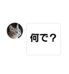 おかん瑪瑙さん（個別スタンプ：14）