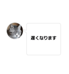 おかん瑪瑙さん（個別スタンプ：15）