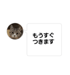 おかん瑪瑙さん（個別スタンプ：16）