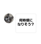 おかん瑪瑙さん（個別スタンプ：17）