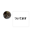 おかん瑪瑙さん（個別スタンプ：18）