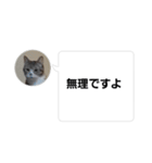 おかん瑪瑙さん（個別スタンプ：19）