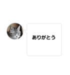 おかん瑪瑙さん（個別スタンプ：21）