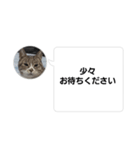 おかん瑪瑙さん（個別スタンプ：22）