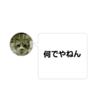 おかん瑪瑙さん（個別スタンプ：23）